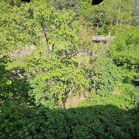 Appartement Malleval Chez Jeanne Dış mekan fotoğraf